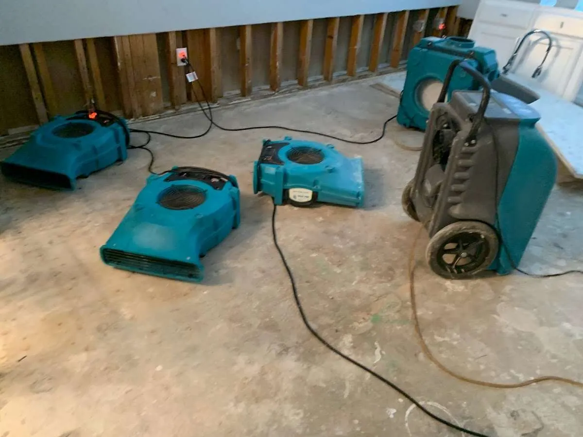 Water Damage Restoration services in Ogden, UT